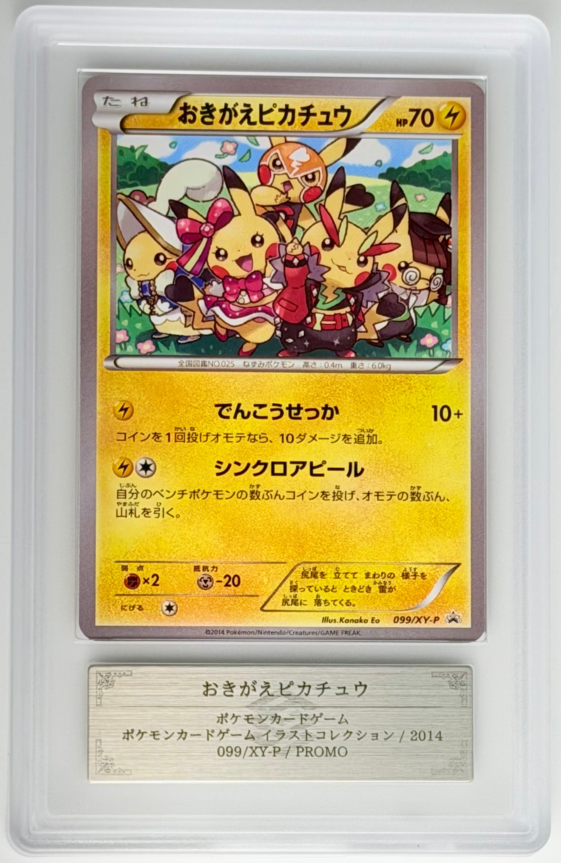 Graded Products – Torekavault | トレカヴォールト