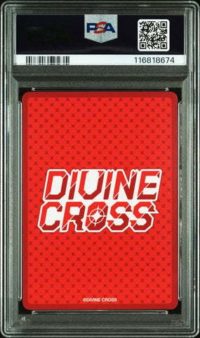 PSA10 cert image 2